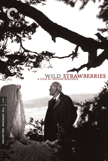 Wild Strawberries