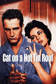 Cat on a Hot Tin Roof Cat on a Hot Tin Roof