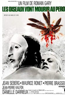 Birds in Peru Birds in Peru