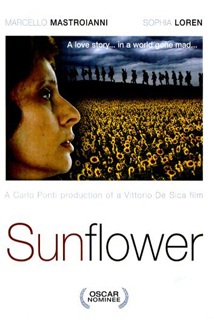 I girasoli I girasoli