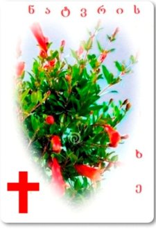 The Wishing Tree The Wishing Tree