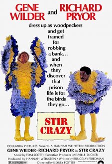 دانلود فیلم Stir Crazy 1980 با زیرنویس فارسی و تماشای آنلاین