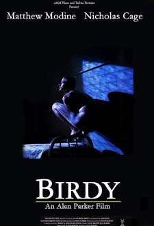 Birdy