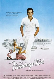 The Flamingo Kid