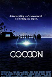 Cocoon Cocoon