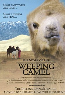 The Story of the Weeping Camel The Story of the Weeping Camel