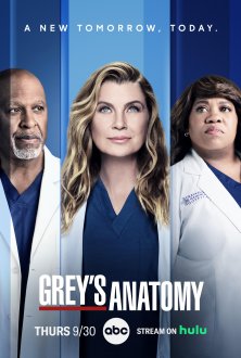 Grey's Anatomy Grey's Anatomy