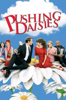 Pushing Daisies Pushing Daisies
