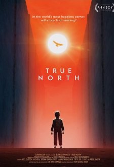 True North