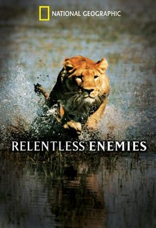 دانلود فیلم Relentless Enemies 2006 با زیرنویس فارسی و تماشای آنلاین
