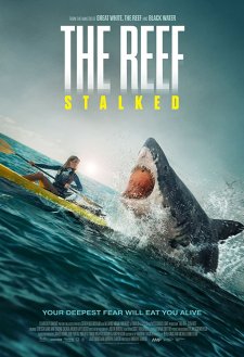 The Reef: Stalked