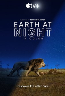 Earth at Night in Color