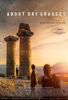 About Dry Grasses About Dry Grasses