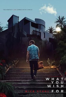 What You Wish For What You Wish For