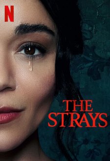 The Strays