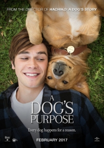 A Dog's Purpose A Dog's Purpose
