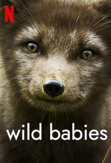 Wild Babies Wild Babies