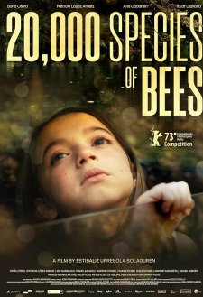 20,000 Species of Bees