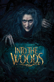 Into the Woods Into the Woods