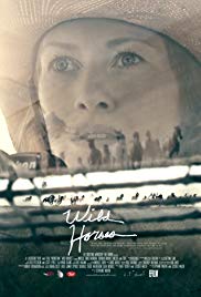 Wild Horses Wild Horses