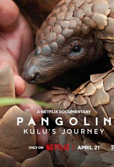 Pangolin: Kulu's Journey