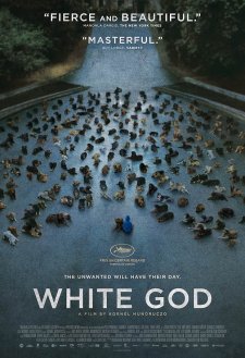 White God White God