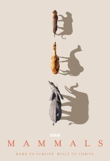 دانلود سریال Mammals 2024 با زیرنویس فارسی و تماشای آنلاین