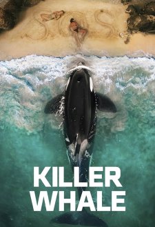 Killer Whale