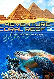 Adventure Coral Reef 3D Under the Sea of Egypt Adventure Coral Reef 3D Under the Sea of Egypt