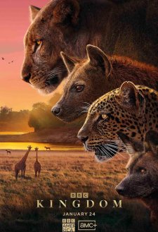 دانلود سریال Kingdom 2025 با زیرنویس فارسی و تماشای آنلاین