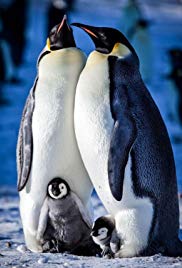 Snow Chick: A Penguin's Tale Snow Chick: A Penguin's Tale