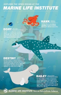 Finding Dory: Marine Life Interviews