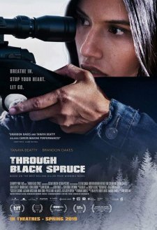 Through Black Spruce