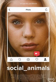 Social Animals Social Animals