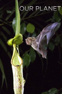Our Planet Our Planet